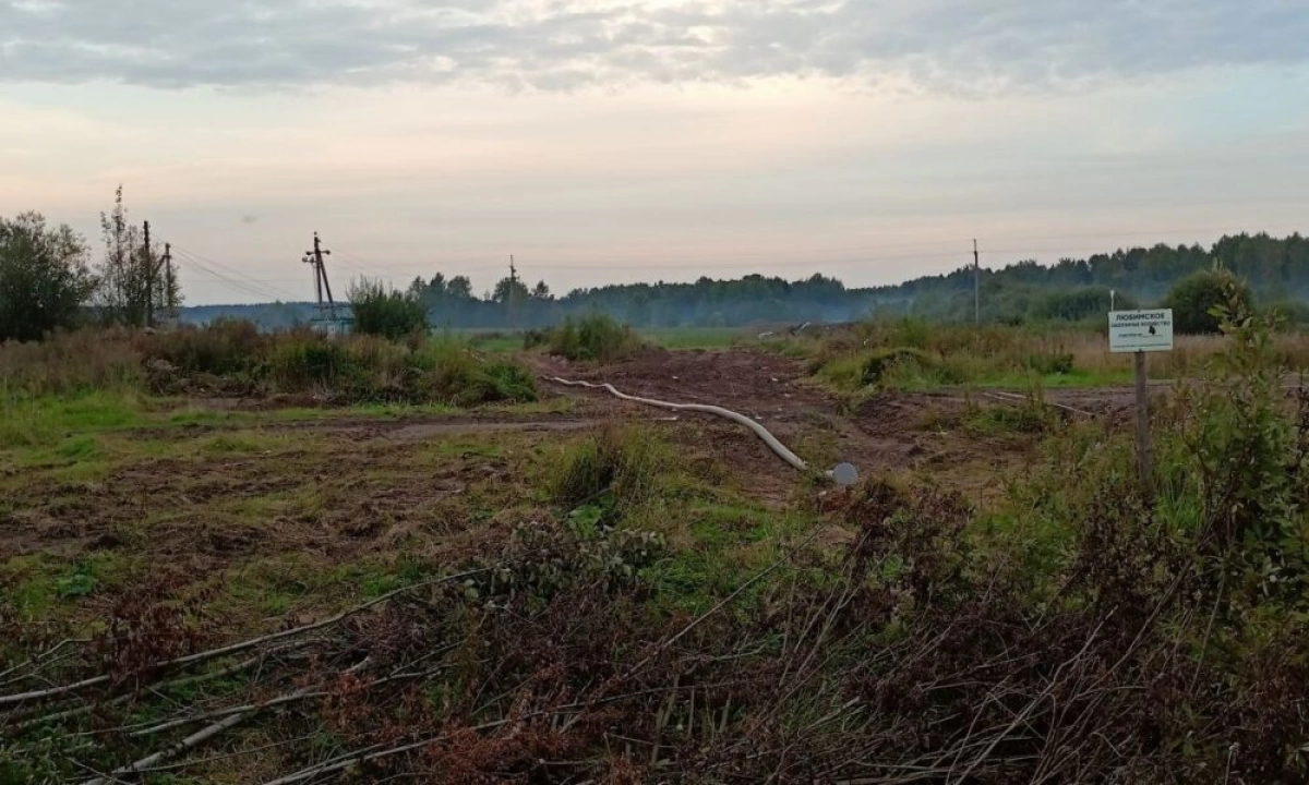 Река Уча загрязнена навозными стоками в Ярославской области Река Уча загрязнена навозными стоками в Ярославской области