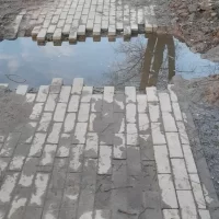 Брагинцы требуют привести в порядок парк 30-летия Победы