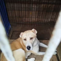 Право на жизнь