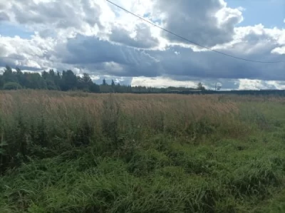 В Ярославской области суд обязал власти обустроить поле для многодетных