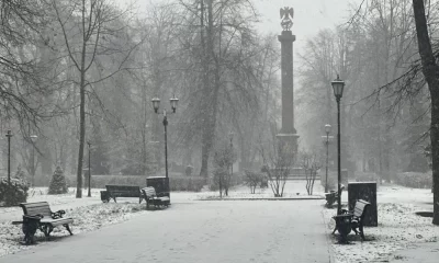 Снег пролежит долго: ярославцам уже не обещают теплый март