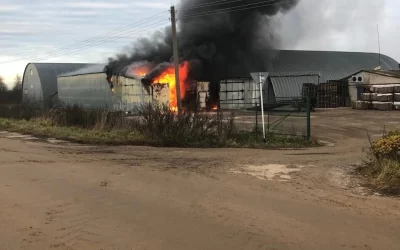 У ярославских фермеров сгорело 1500 тонн картофеля &nbsp;