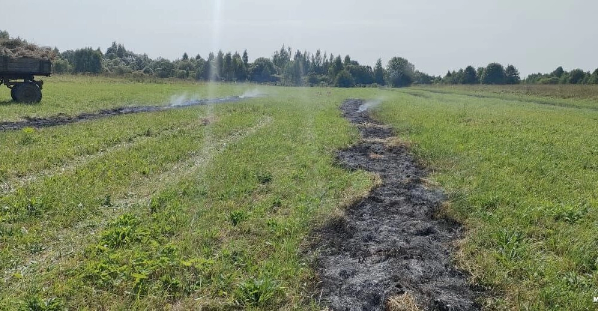 Житель Ярославской области оштрафован за выжигание травы Житель Ярославской области оштрафован за выжигание травы