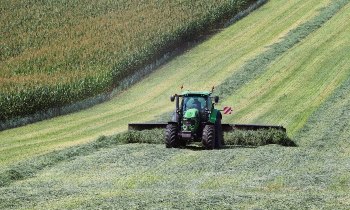 Михаил Евраев представил достижения ярославских аграриев на площадке СберСити в Москве