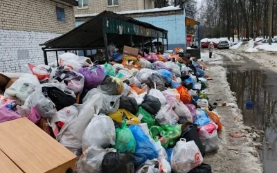 Мэр Ярославля о вывозе мусора: &laquo;Отговорки про снег больше не работают&raquo;