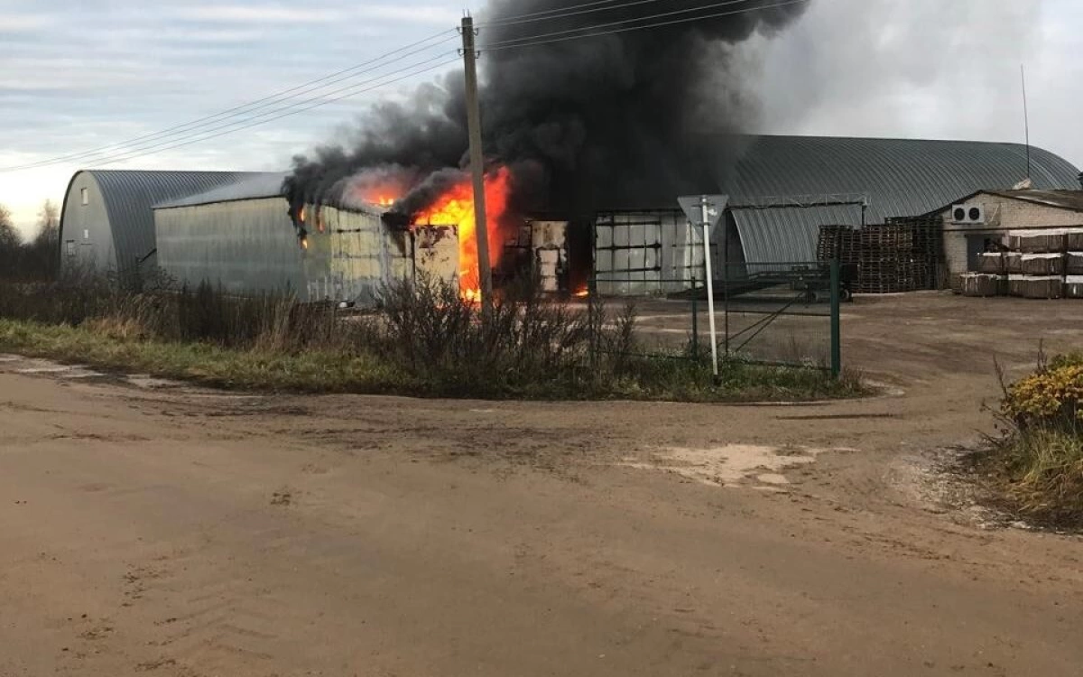 У ярославских фермеров сгорело 1500 тонн картофеля &nbsp;