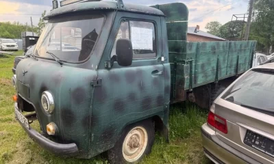 В Ярославской области у застрелившего двух лосей браконьера изъяли автомобиль