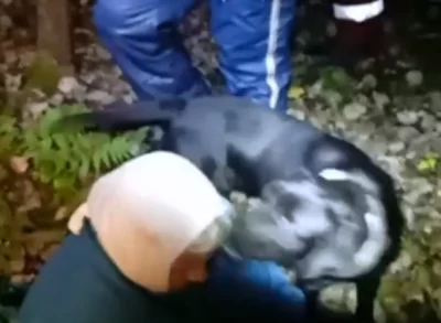 Заблудившуюся в ярославских лесах бабушку Зою километр несли на носилках