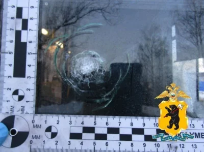 Ярославец обстрелял водителя автобуса за отказ высадить вне остановки