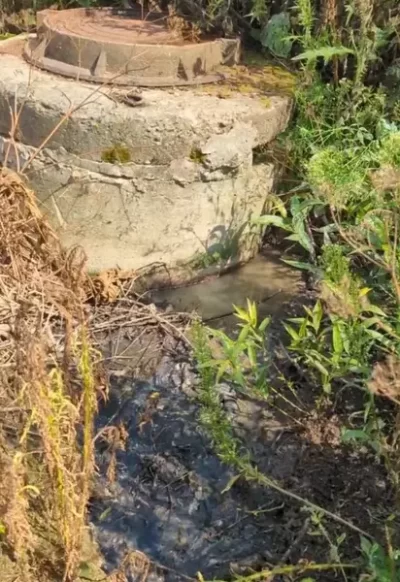 Канализационный скандал в Шашково: проблема возвращается