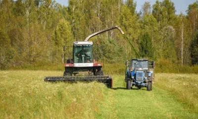 В Ярославской области сообщили о хорошем урожае зерновых культур