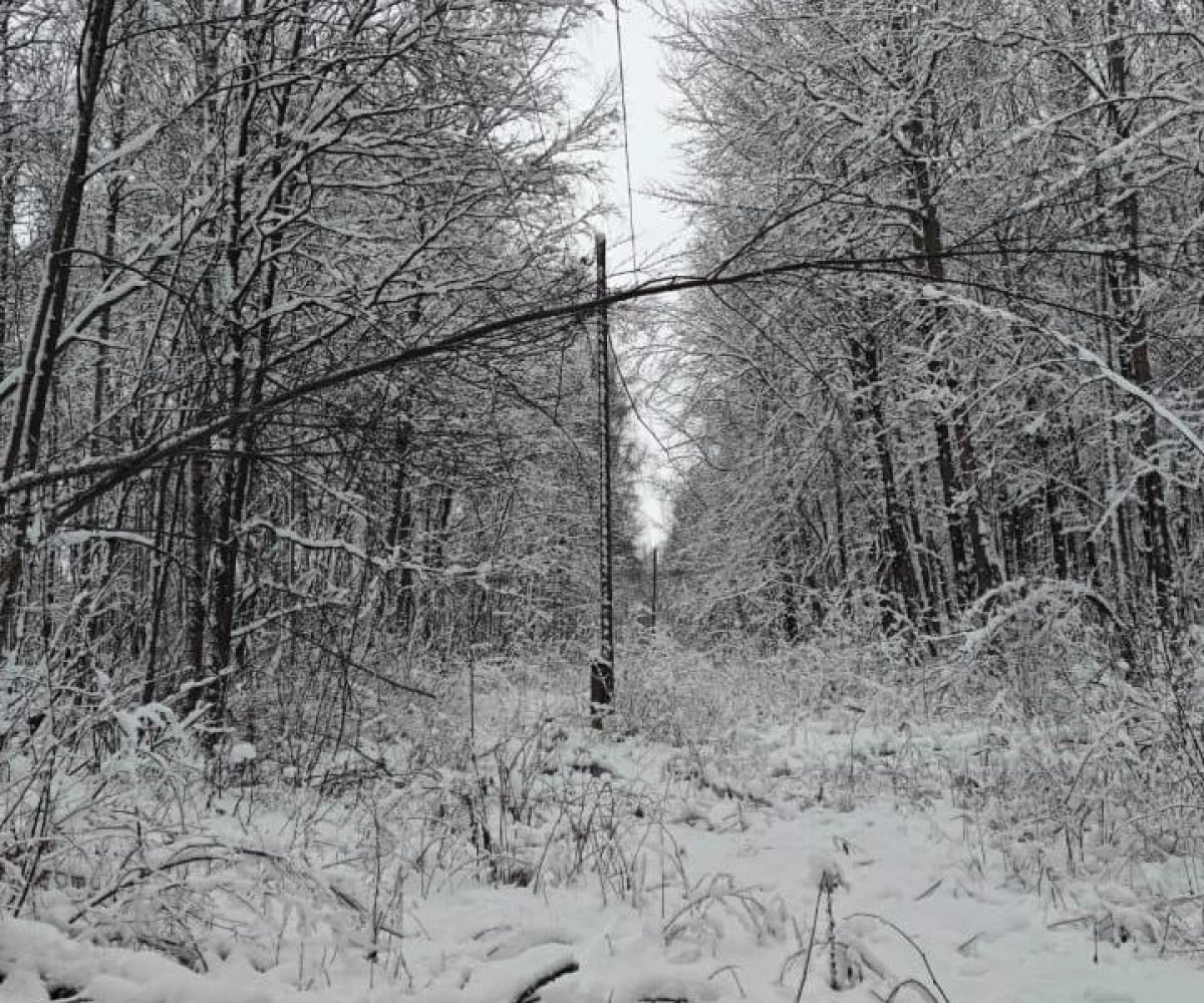 Энергетики &laquo;Ярэнерго&raquo; оперативно устраняют последствия непогоды