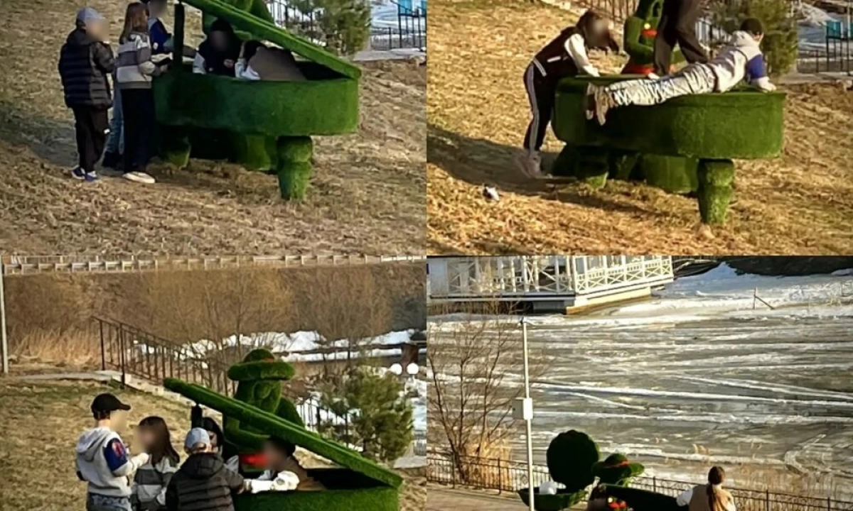 В Ярославской области сообщают о вандализме на набережной реки Солоницы