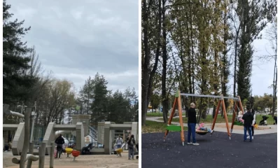 Ярославцы просят назначить &laquo;смотрящего за качелями&raquo; в брагинском парке