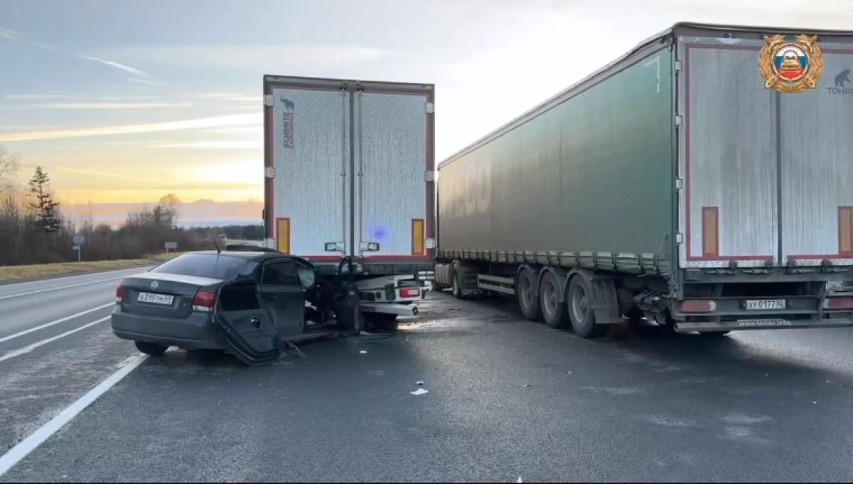 В Ярославском районе легковушка влетела под стоящую фуру В Ярославском районе легковушка влетела под стоящую фуру