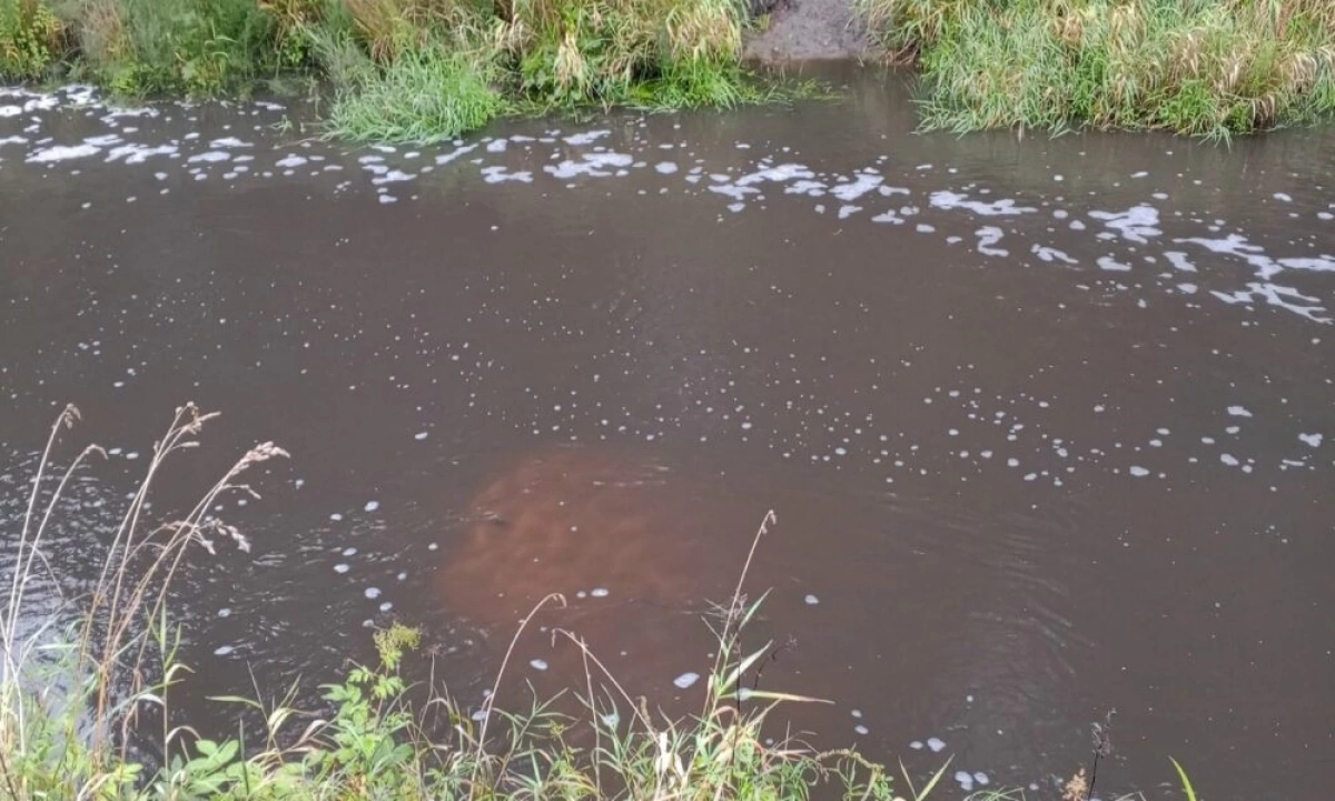 Загрязнение реки Уча навозом: жители Любимского района бьют тревогу Загрязнение реки Уча навозом: жители Любимского района бьют тревогу