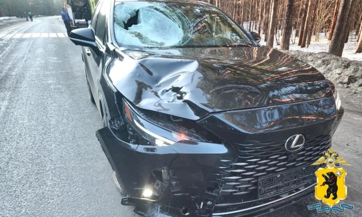 Под Ярославлем &laquo;Лексус&raquo; сбил пожилого велосипедиста