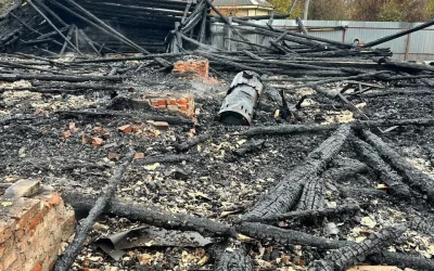 В Ярославской области в пожаре погибли 150 индюшек