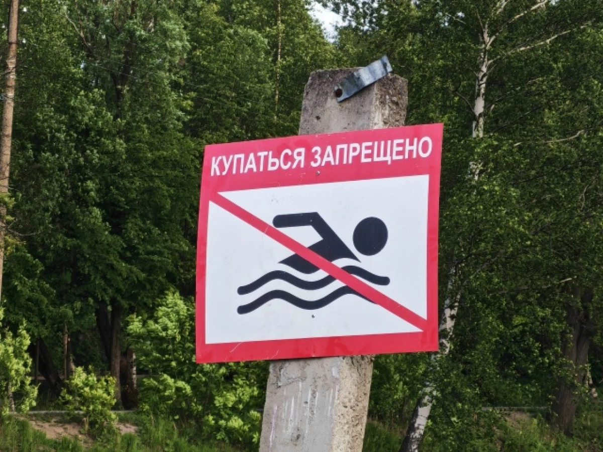 Жителям Тутаева и Константиновского запретили купаться в Волге Жителям Тутаева и Константиновского запретили купаться в Волге
