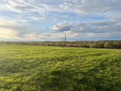 В Ярославской области пресечена мошенническая схема с земельными участками