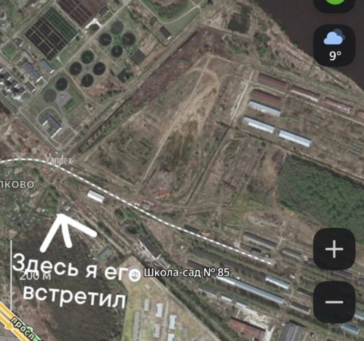 В Ярославле молодой медведь напугал рыбака