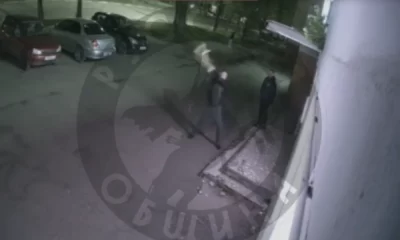 В Ярославле задержали мужчину после жестокого убийства кошки