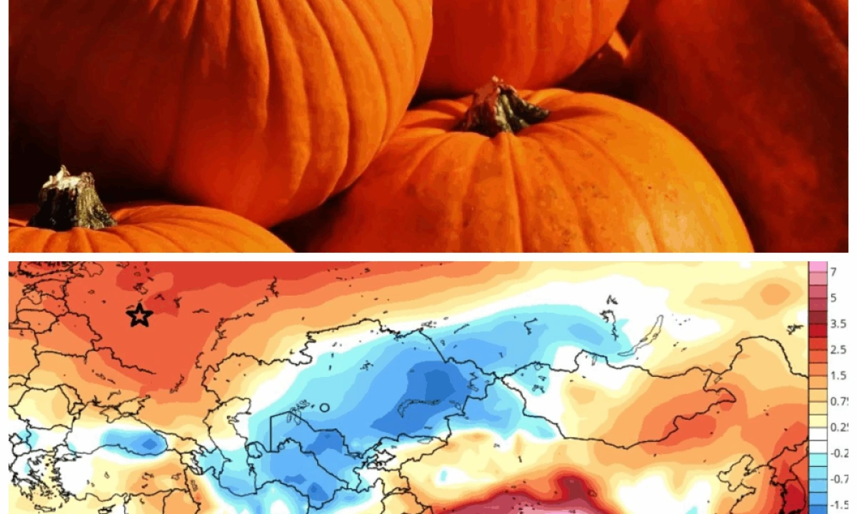 Метеоролог пообещал ярославцам тыквенный октябрь