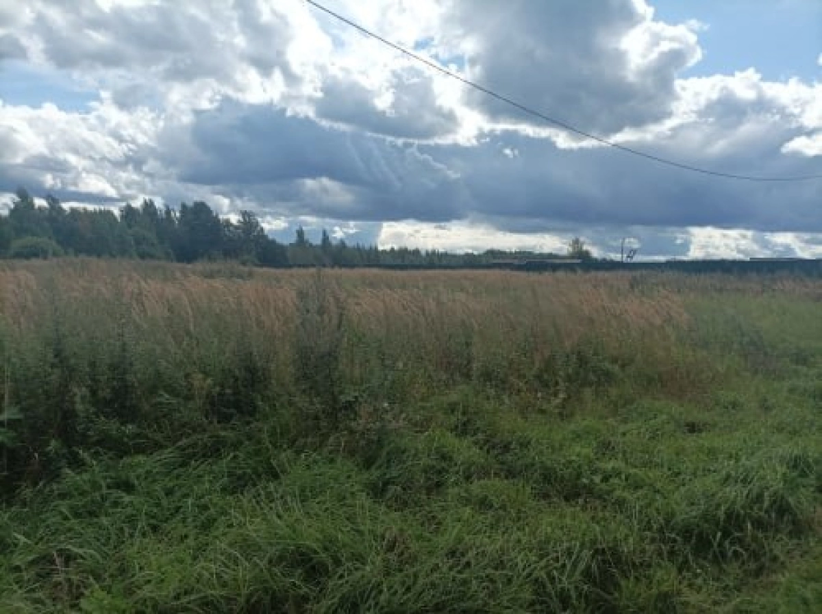 В Ярославской области суд обязал власти обустроить поле для многодетных В Ярославской области суд обязал власти обустроить поле для многодетных