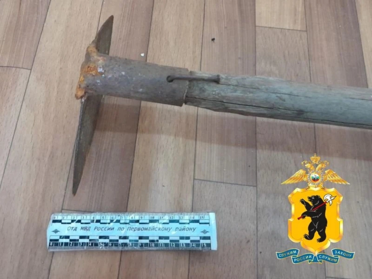 Жителя Ярославской области будут судить за удар тяпкой по голове гостьи