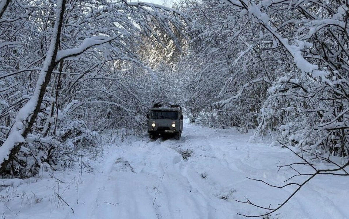 В Ярославской области энергетики  устраняют последствия сильного снегопада