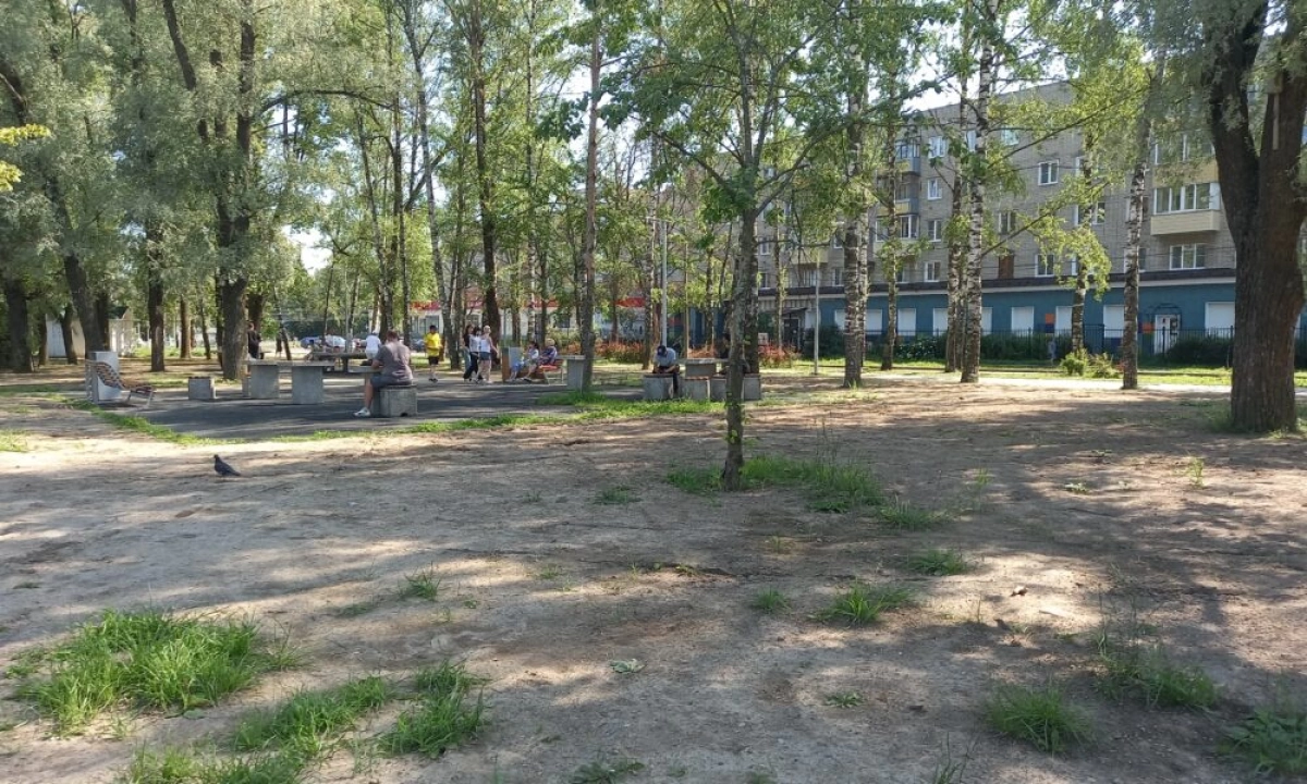 В Ярославле брагинцы не дождались всходов газона в парке 30-летия Победы В Ярославле брагинцы не дождались всходов газона в парке 30-летия Победы