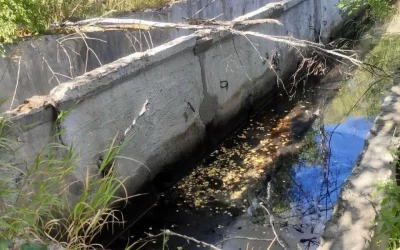 Ликвидация "зеленых масел" в Ярославской области: выделено финансирование