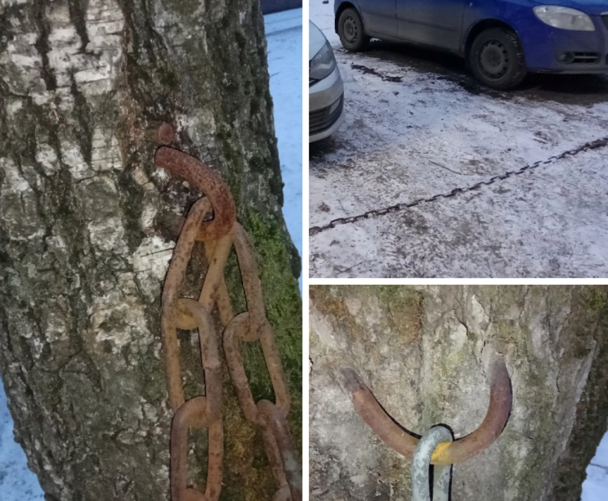 УК заплатит за травму ярославне, запнувшейся за натянутую автовладельцами цепь