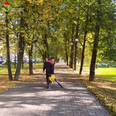 В Ярославле приступили к сдуванию листвы