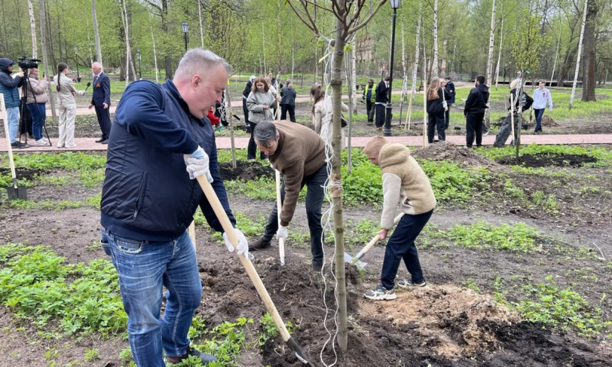 В Петропавловском парке высадили деревья согласно исторического дендра плана В Петропавловском парке высадили деревья согласно исторического дендра плана
