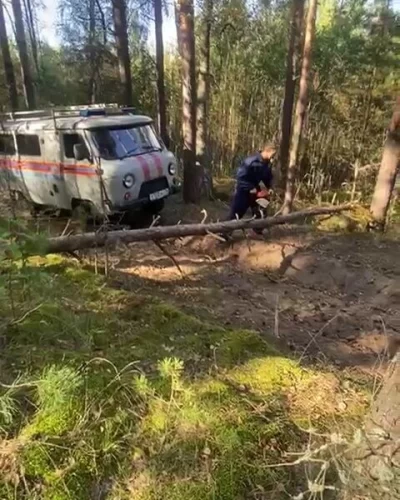 Спасатели помогли заблудившейся ярославне выбраться из болота