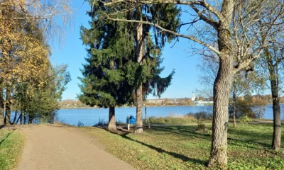 В Ярославле в Павловской роще планируют установить туалеты