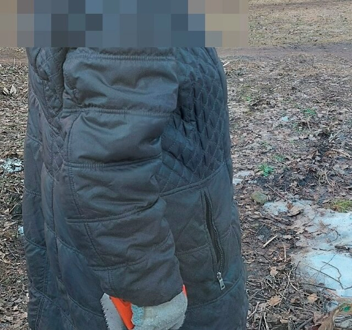 В Ярославле бабушку-пилильщицу доставили в отдел полиции В Ярославле бабушку-пилильщицу доставили в отдел полиции