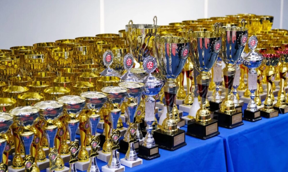 Успешные спортсмены и тренеры в Ярославской области получают денежные выплаты