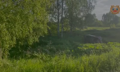 В Ярославской области погиб водитель вылетевшей в кювет легковушки