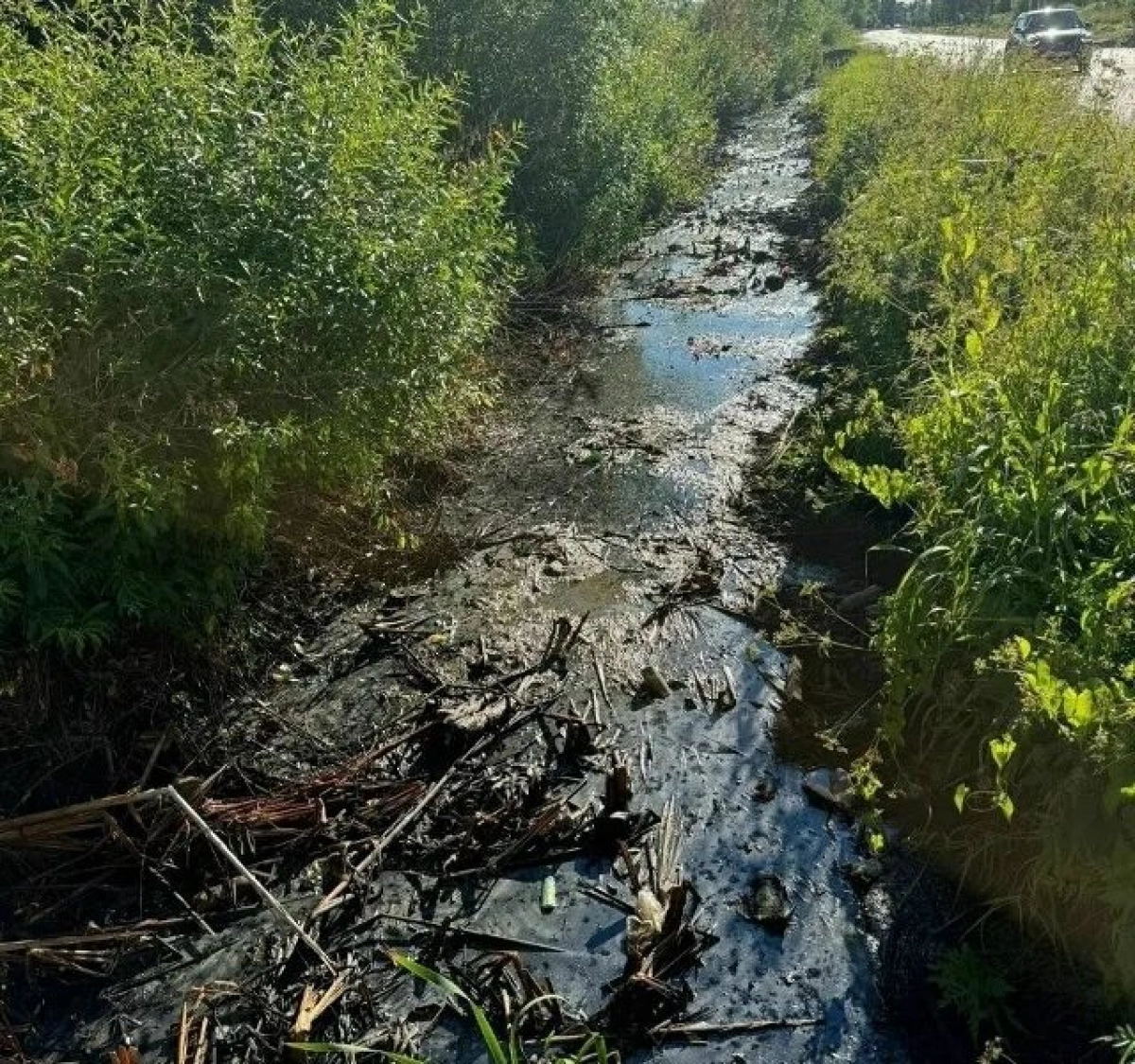 В рыбинском Копаево на месте загрязнения установили боновые заграждения В рыбинском Копаево на месте загрязнения установили боновые заграждения