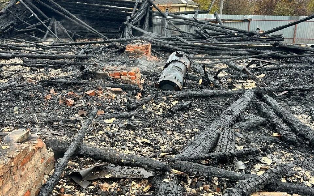 В Ярославской области в пожаре погибли 150 индюшек В Ярославской области в пожаре погибли 150 индюшек