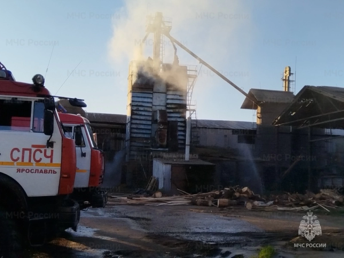 Под Ярославлем сгорели пятнадцать тонн овса