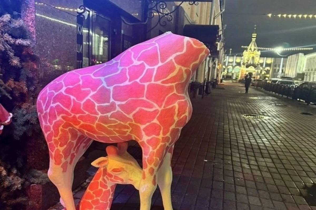 В Ярославле подано заявление в полицию об обезглавленном жирафе