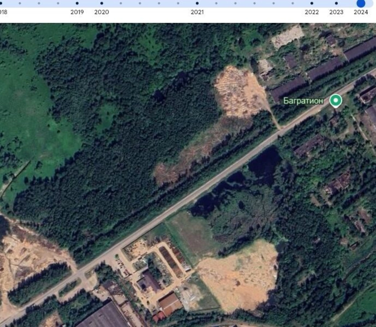 Ярославцы заподозрили нелегальное производство древесного угля на границе с городом