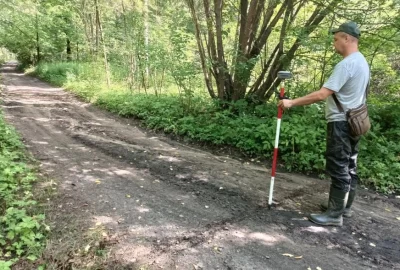 В Ярославле закроют проезды в заповедном бору на берегу Волги