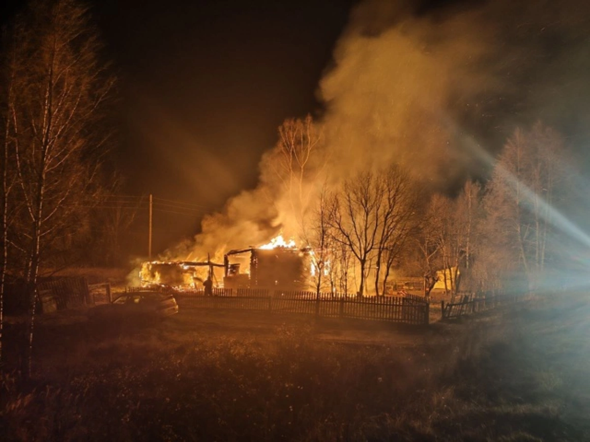 В Ярославской области сгорел дом многодетной мамы