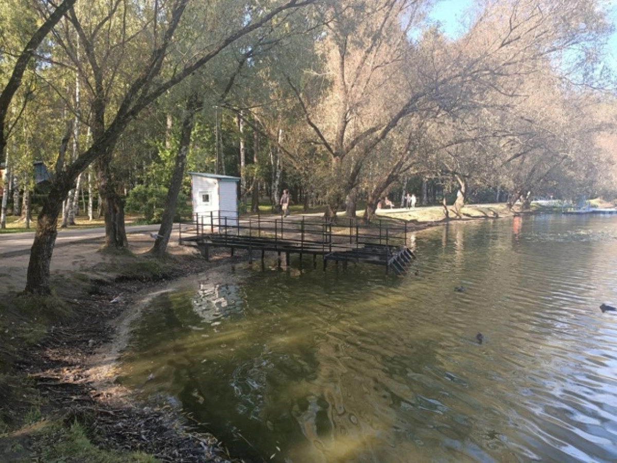 В Ярославле жители усомнились в законности сооружения в парке &laquo;Нефтяник&raquo;