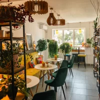 Кофейня Все Свои