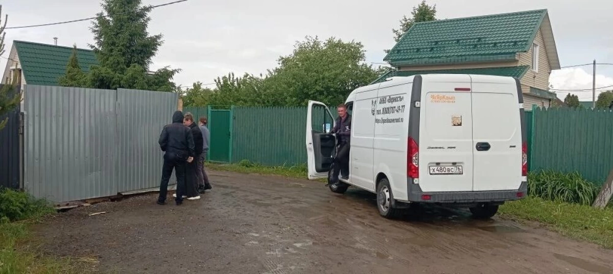 В Ярославле проведена проверка по сообщению о нападении своры собак на женщину